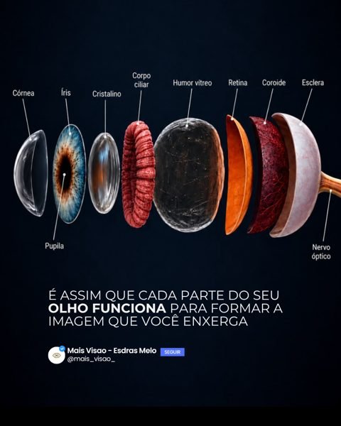 Post Mais Visão sobre o olho